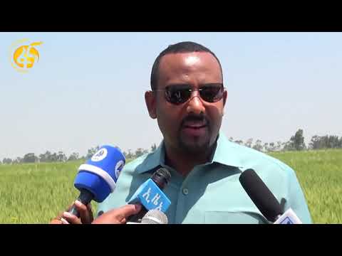 የጠቅላይ ሚኒስትሩ የአርሲ ዞን እርሻ ጉብኝት