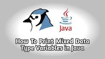 How To Print Multiple Variables in Java | A PROG-12 UC