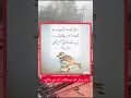 Urdu words for poetry  urdu poetry  islamic quotes  islamic status  shortsviral youtubeshorts