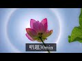 SGI 池田名誉会長 daimoku (30min) 〜Nam myoho renge kyo〜