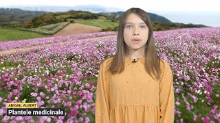 Plantele Medicinale Săptămâna Sănătății Pentru Copii 2023