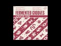 Souldade  land of jam edit  fermented grooves vol 1 sf004