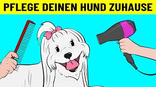 So Pflegst Du Deinen Hund Zu Hause Wie Ein Profi by DIE WUNDERSAMEN 986 views 1 year ago 9 minutes, 12 seconds