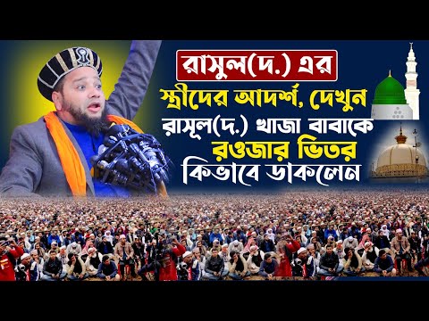 ভিডিও: অ্যালান ল্যাড: জীবনী, কেরিয়ার, ব্যক্তিগত জীবন