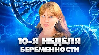 10 недель беременности. Что происходит. Ощущения. Боли.