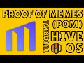 Join the Meme-olution: A User-Friendly Tutorial on Proof of Memes Mining in HiveOS #crypto