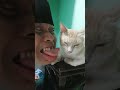 Бедный кот жалко его 😐