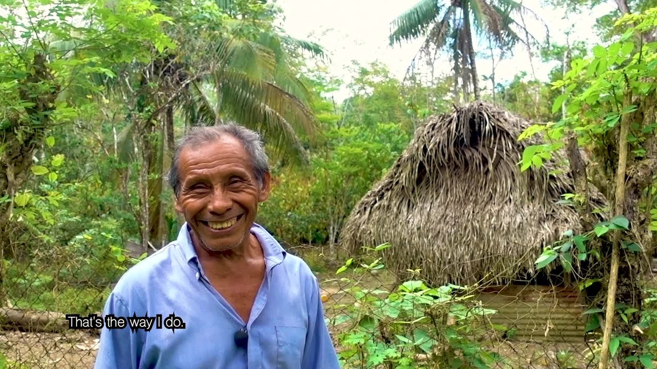 Mayan Food Forest