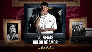 Mix Volverás, Dolor de Amor - Caribeños (Homenaje a Edwin Alcántara) chords