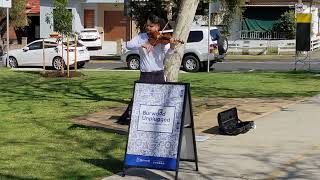 Rock Violinist  danielemontarulo @  Henley Park Enfield by aussiebuzz 14 views 8 months ago 57 seconds