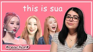 'THIS IS SUA' REACTION