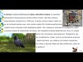 3 лютого. День підгодівлі птахів