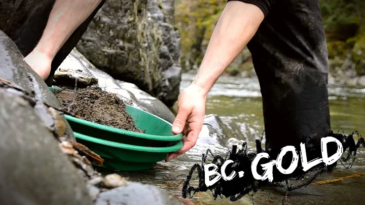 Gold Panning in British Columbia!