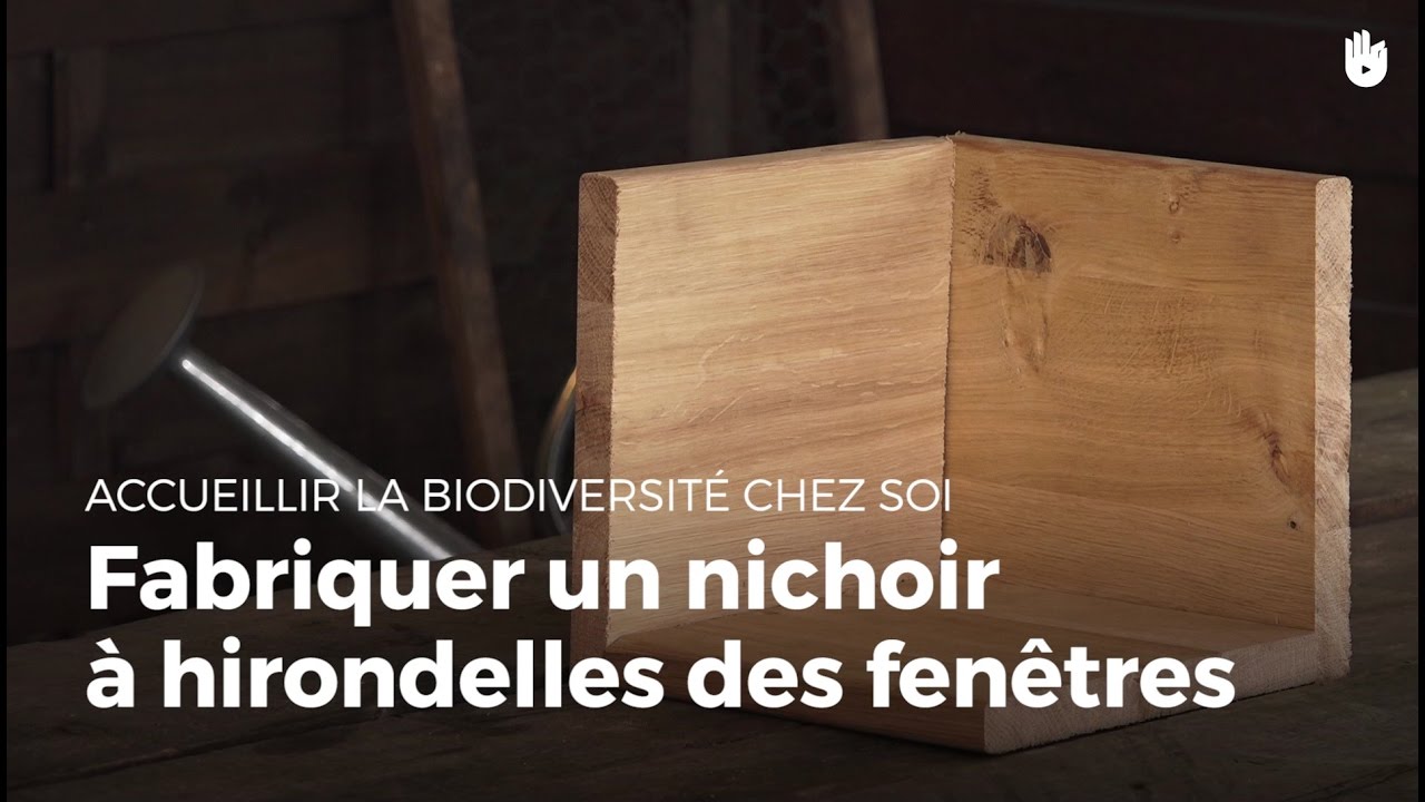 Faire Un Nid D’Hirondelle – Nid D’Hirondelle Ancien – GMLYP