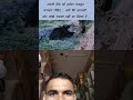 Nitesh Kumar official cheetah 🐆🐆🐆 attack