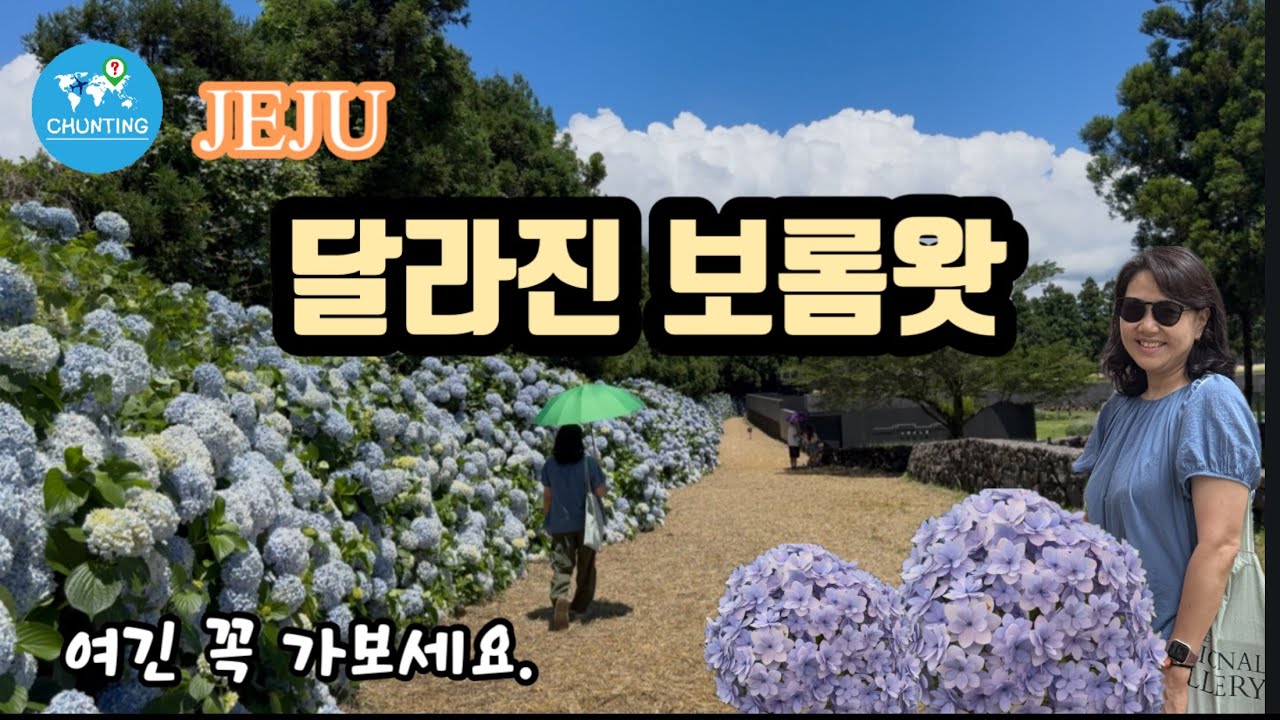 [제주 핫플]입구부터 달라진 제주 대표 정원카페