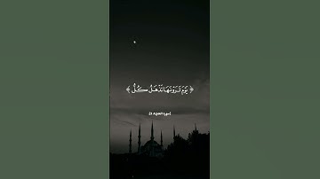 اكتب شيئا تؤجر عليه || القارئ : فارس عباد