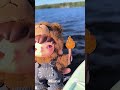 Хироно Мишка🐻