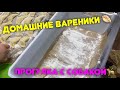 домашние вареники /прогулка с собакой/утка села на яйца/играем с оскаром футбол