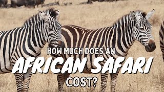 Overland Safari Costs | How to budget for the trip of a lifetime 🦁