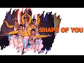 Shape of you i fusion dance i bharatnatyam