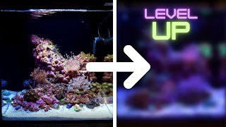 Taking My FIRST EVER Reef Aquarium To The NEXT LEVEL! by MJ Aquascaping 40,590 views 6 months ago 8 minutes, 6 seconds