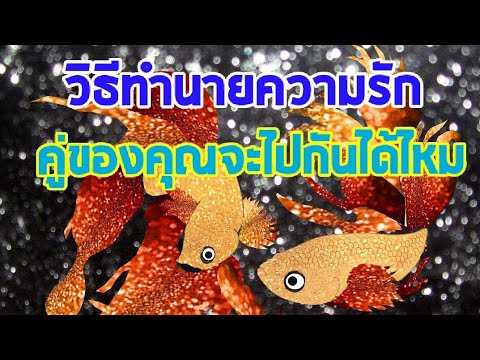 วีดีโอ: เรื่องราวทางจิตวิทยา 