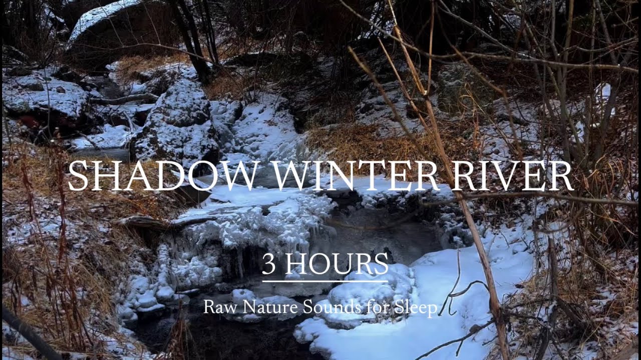 Frozen Shadow River ❄️ 3 HOURS Gothic Dark 🌑 Winter Nature Ambient for Sleep 