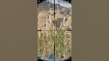 Новички в раст #rust  #раст  #rustshorts  #шортс #shorts  #rustclips  #rustmoments  #rustpvp #rusty