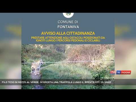 FILO TESO IN MEZZO AL VERDE: SCOPERTA UNA TRAPPOLA LUNGO IL BRENTA | 27/10/2022
