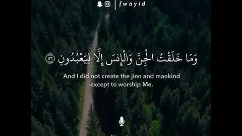 وَمَا خَلَقْتُ الْجِنَّ وَالْإِنسَ إِلَّا لِيَعْبُدُونِ | القارئ الرائع مشاري الفالح