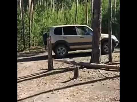 Томская область. Шегарский район. С. Победа. - YouTube