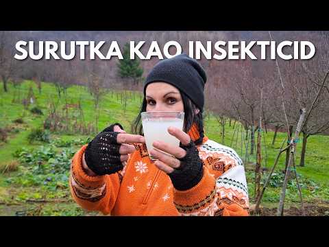 Upotreba SURUTKE u