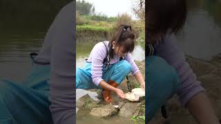 💋❤️Beautiful Beauty Collecting River Clam Pearl