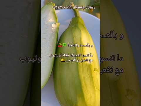 فوائد تناول القرع الاخضر اليقطين خضار موسميه تغذية صحة اكسبلور   