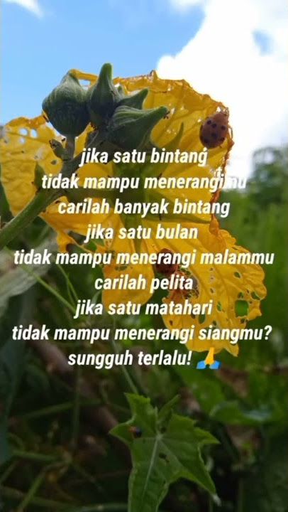 kata sindiran untuk orang serakah#shorts