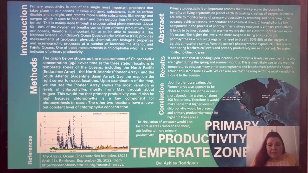 Primary Productivity in Temperate Zones YouTube