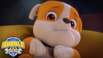 Rubble Is Scared of Spiders & Can