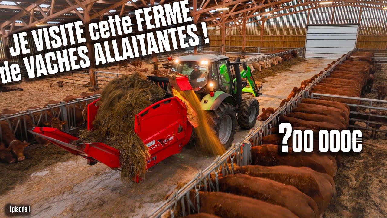 🐄 *00 000€ pour ce NOUVEAU BATIMENT de VACHES ALLAITANTES : Un BUDGET CONSÉQUENT💲