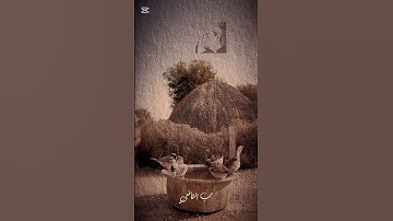 اروع التلاوات النادرة مين القارئ الجميل ده #القران_الكريم #دويتو #تلاوات #تيك_توك #تلاوه #القارء #لا