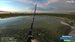 Unity Multiplayer Fishing Game Template  - Realistic Fish Behavior