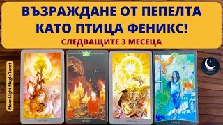 🕊️🔥🕊️ВЪЗРАЖДАНЕ ОТ ПЕПЕЛТА КАТО ФЕНИКС!🌟СЛЕДВАЩИТЕ 3️⃣ МЕСЕЦА🌟АПРИЛ, МАЙ, ЮНИ 🌟 | Timeless ✨