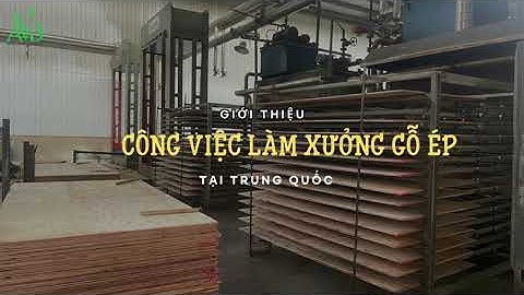 GIỚI THIỆU CÔNG VIỆC LÀM XƯỞNG GỖ ÉP TẠI TRUNG QUỐC|XKLD TRUNG QUỐC|AVB quốc tế
