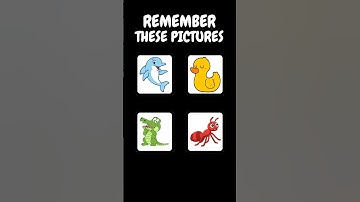 LETS TEST YOUR MEMORY