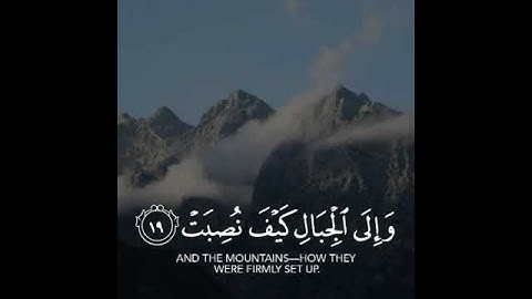 افلا ينظرون الى الابل  تلاوة خاشعة الشيخ ماهر المعيقلي