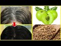 Curry Leaves,Methi(Fenugreek Seeds) & Amla Hair Oil For Turning White Hair to Black in 2 weeks!!