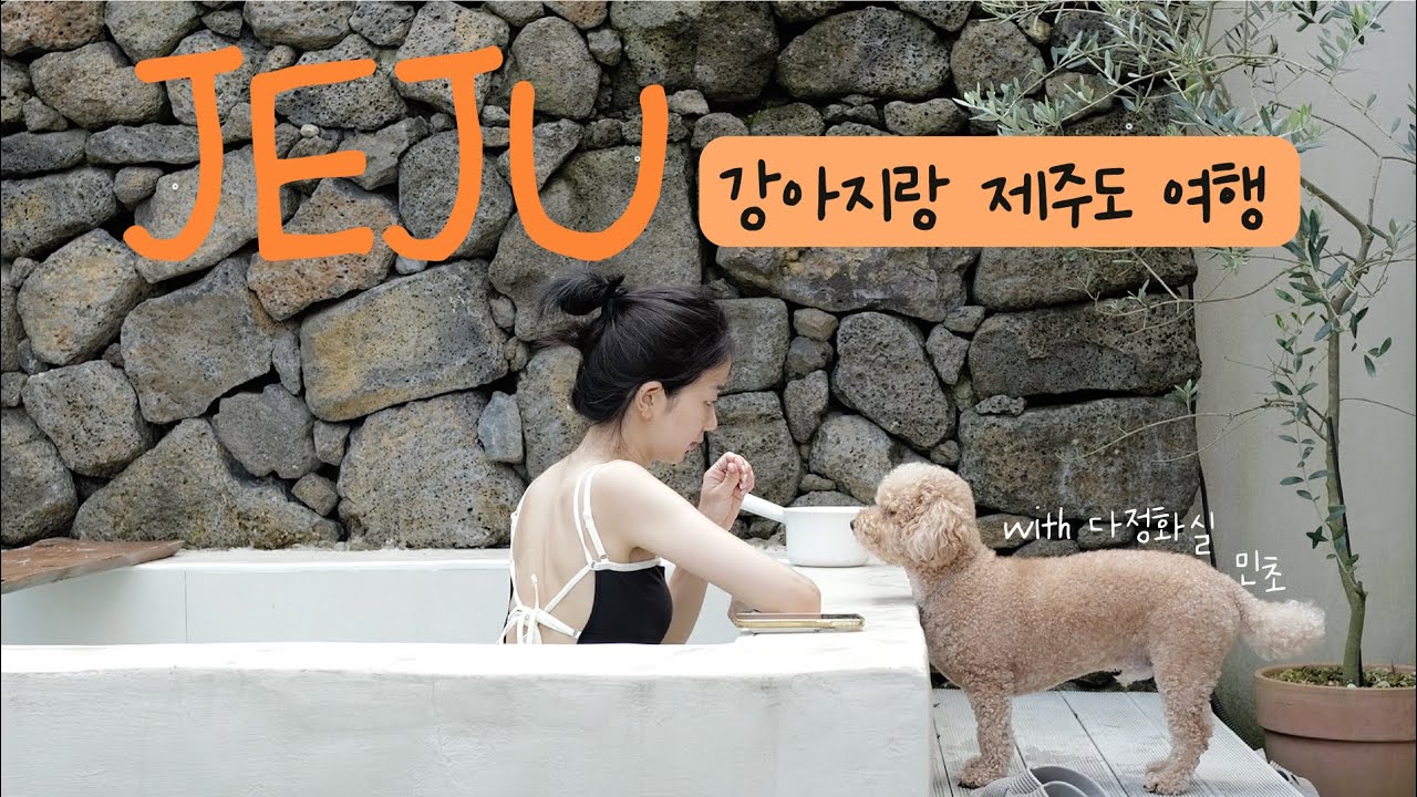 강아지랑 제주도 여행 feat.애견동반 민초와 첫 비행기✈️ 그리고 못 돌아올뻔🤦🏻‍♀️  제주도 브이로그 jeju vlog