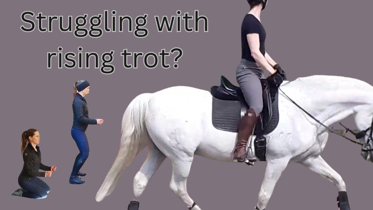 Improve your rising trot with these exercises! (off the horse)
