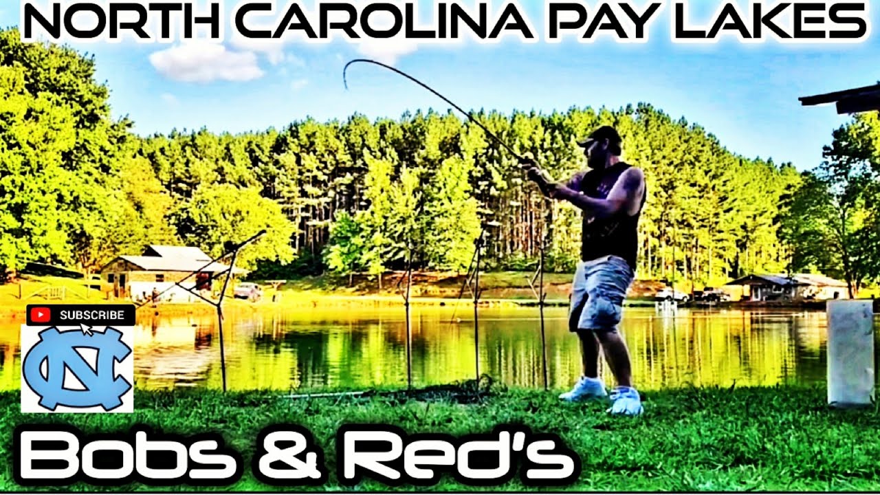 NORTH CAROLINA PAY LAKE CARP FISHING ADVENTURE (Surry County) YouTube
