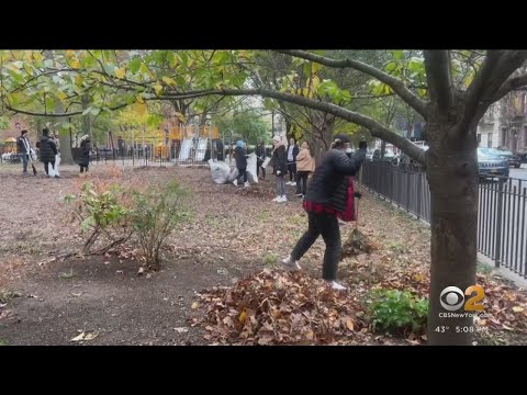Video: Tompkins Square Park: Die volledige gids
